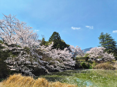 奈良カントリークラブ