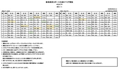 奈良県民スポーツ大会Wぺリア競技